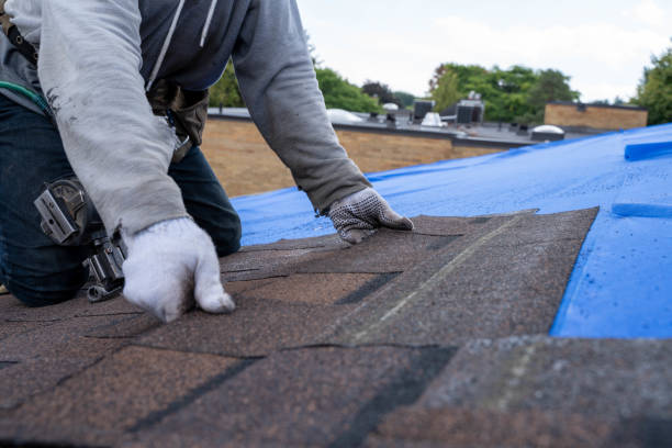 Best New Roof Installation  in Delhi, LA