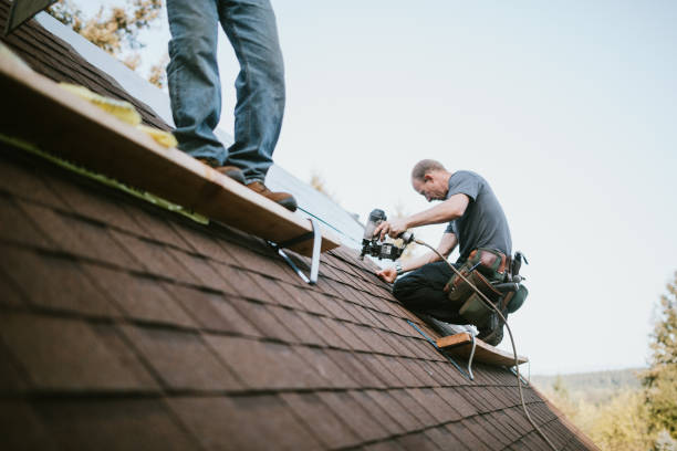 Quick and Trustworthy Emergency Roof Repair Services in Delhi, LA